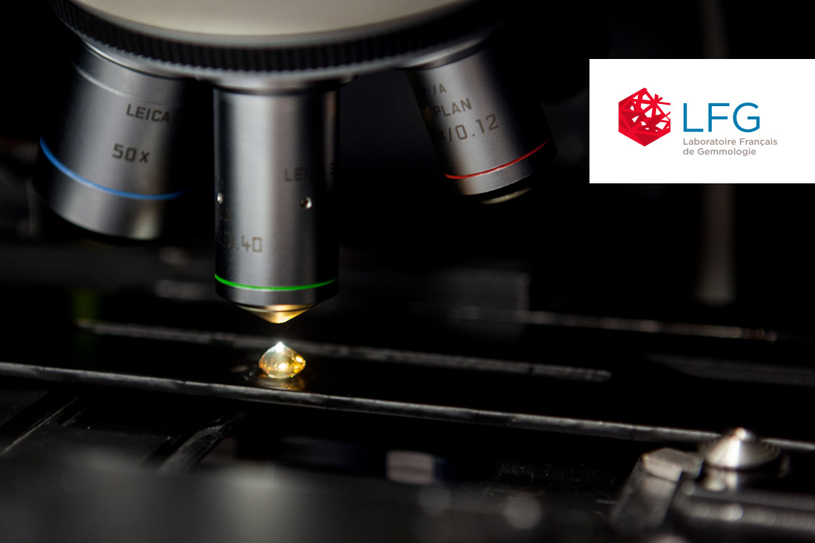 Identité visuelle du LFG pour Laboratoire Français de Gemmologie