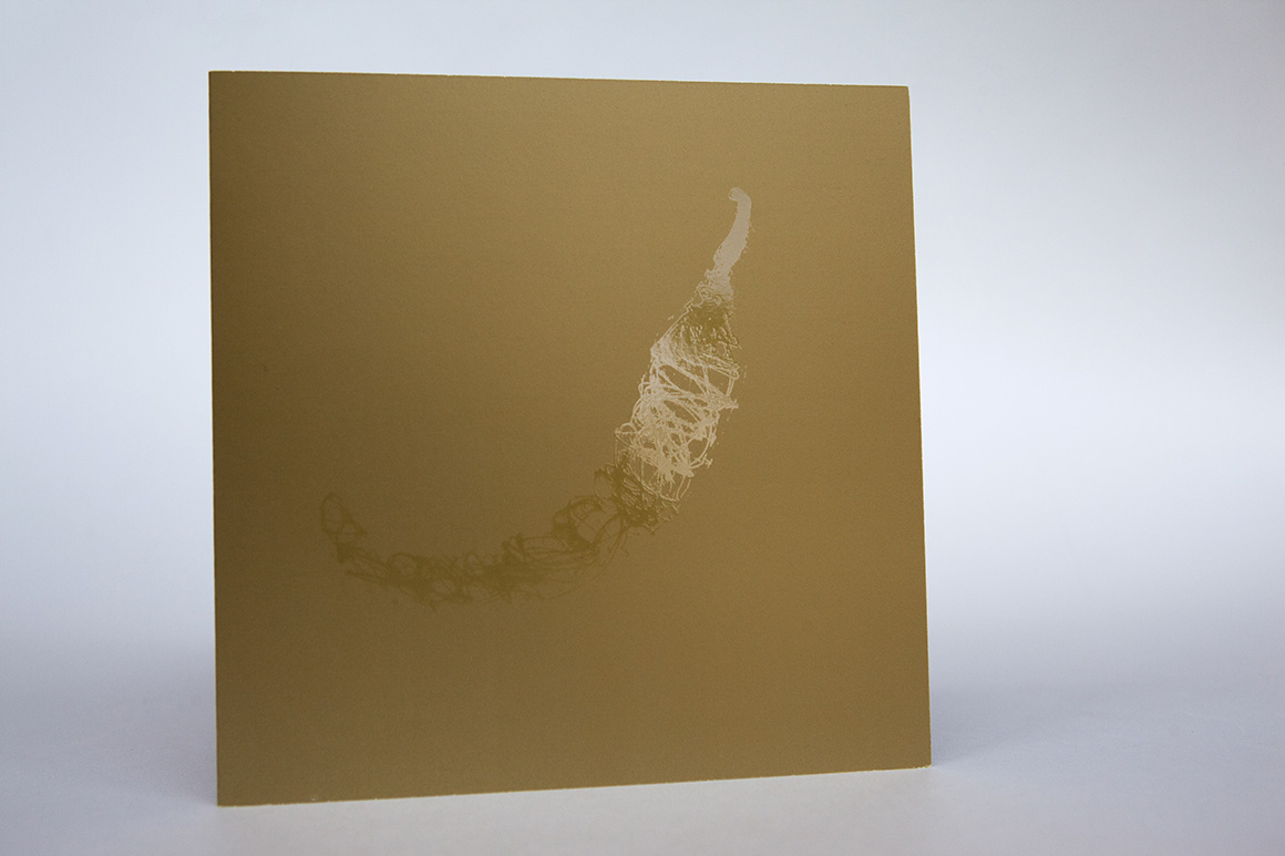 Vœux Pepper Only 2007 - 2013 pour Pepper Only