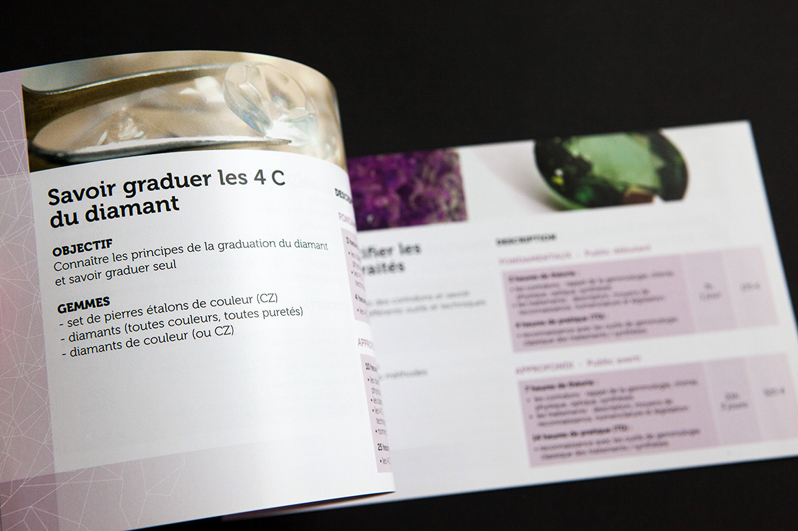 Brochures Formations courtes BJOP pour UFBJOP