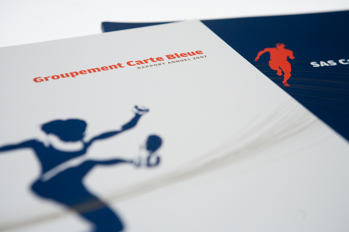 Rapports annuels Carte Bleue / Visa 2007 – 2009 pour Visa