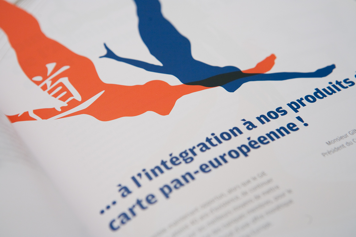 Rapports annuels Carte Bleue / Visa 2007 – 2009 pour Visa