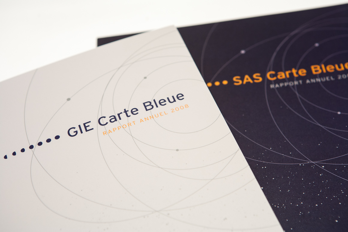 Rapports annuels Carte Bleue / Visa 2007 – 2009 pour Visa