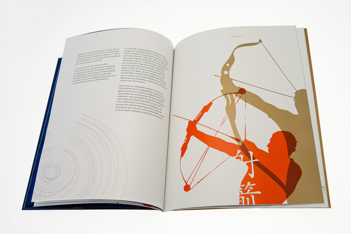 Rapports annuels Carte Bleue / Visa 2007 – 2009 pour Visa