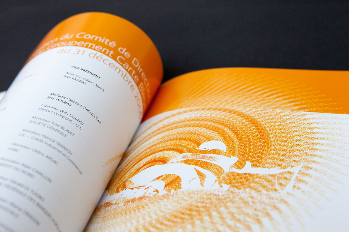 Rapports annuels Carte Bleue / Visa 2007 – 2009 pour Visa