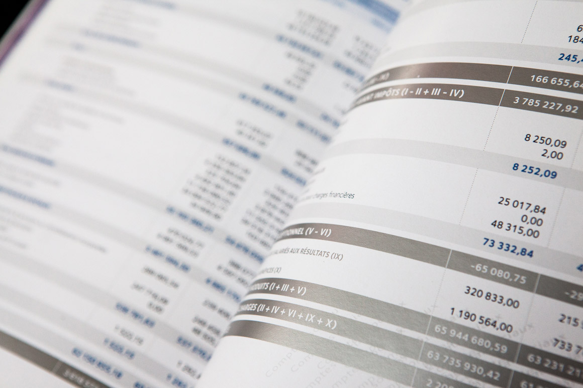 Rapports annuels Carte Bleue / Visa 2007 – 2009 pour Visa