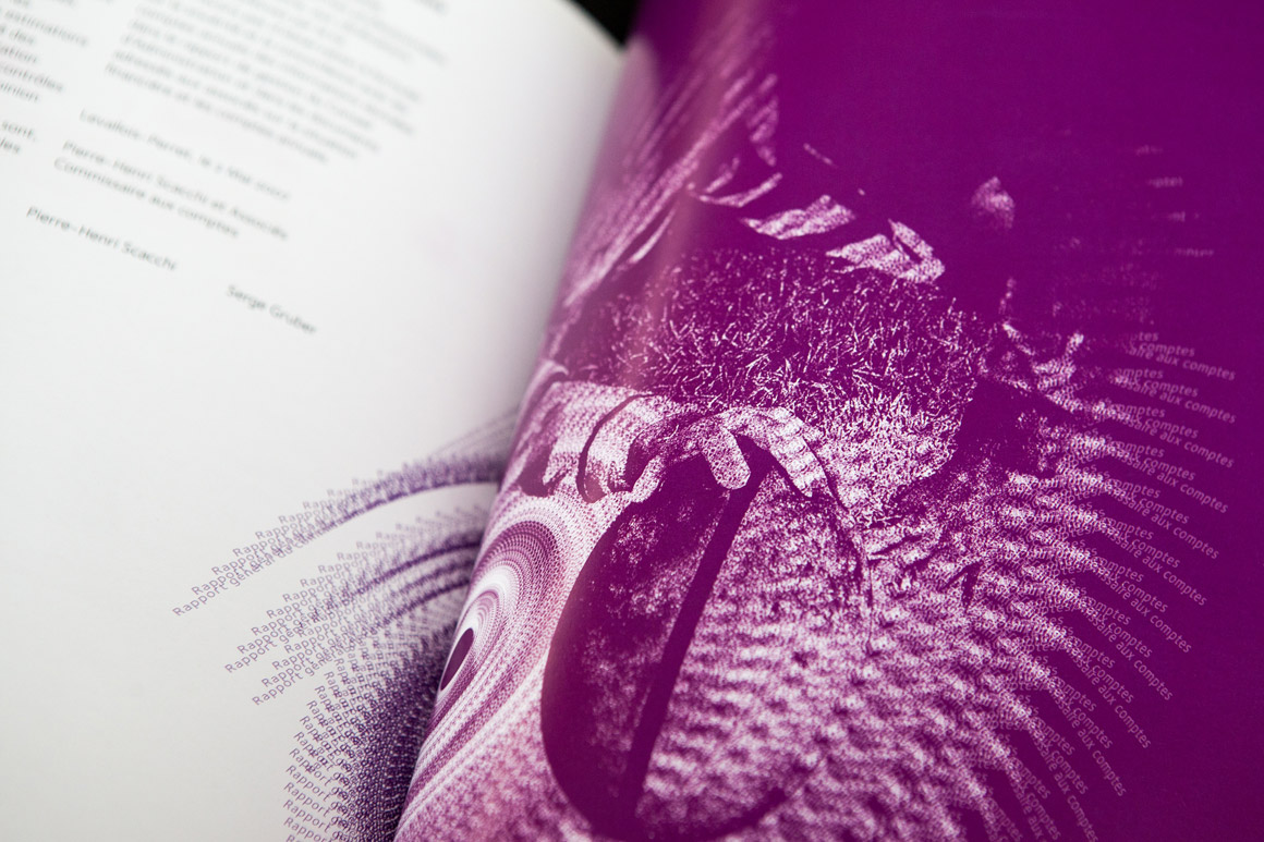 Rapports annuels Carte Bleue / Visa 2007 – 2009 pour Visa