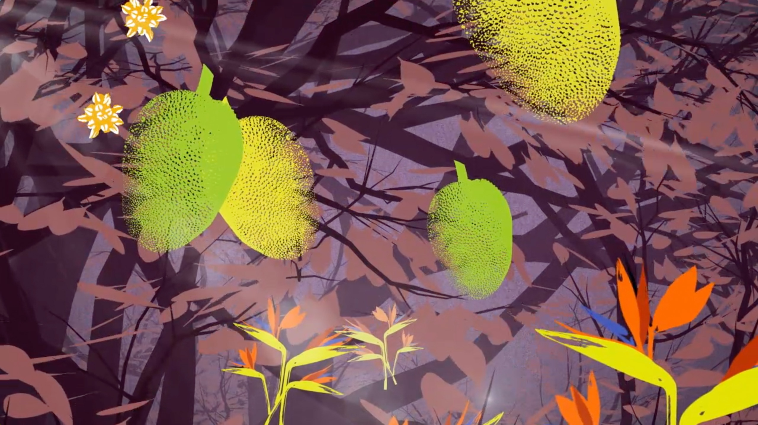 Voeux de la Banque de France des Outre-mer 2018 pour IEOM-IEDOM